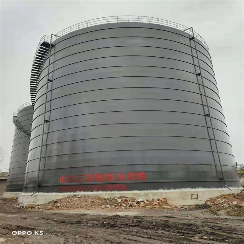 长征镇3万吨大型钢板库