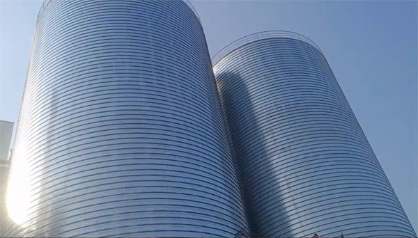 长征镇2座混凝土高架卷板仓